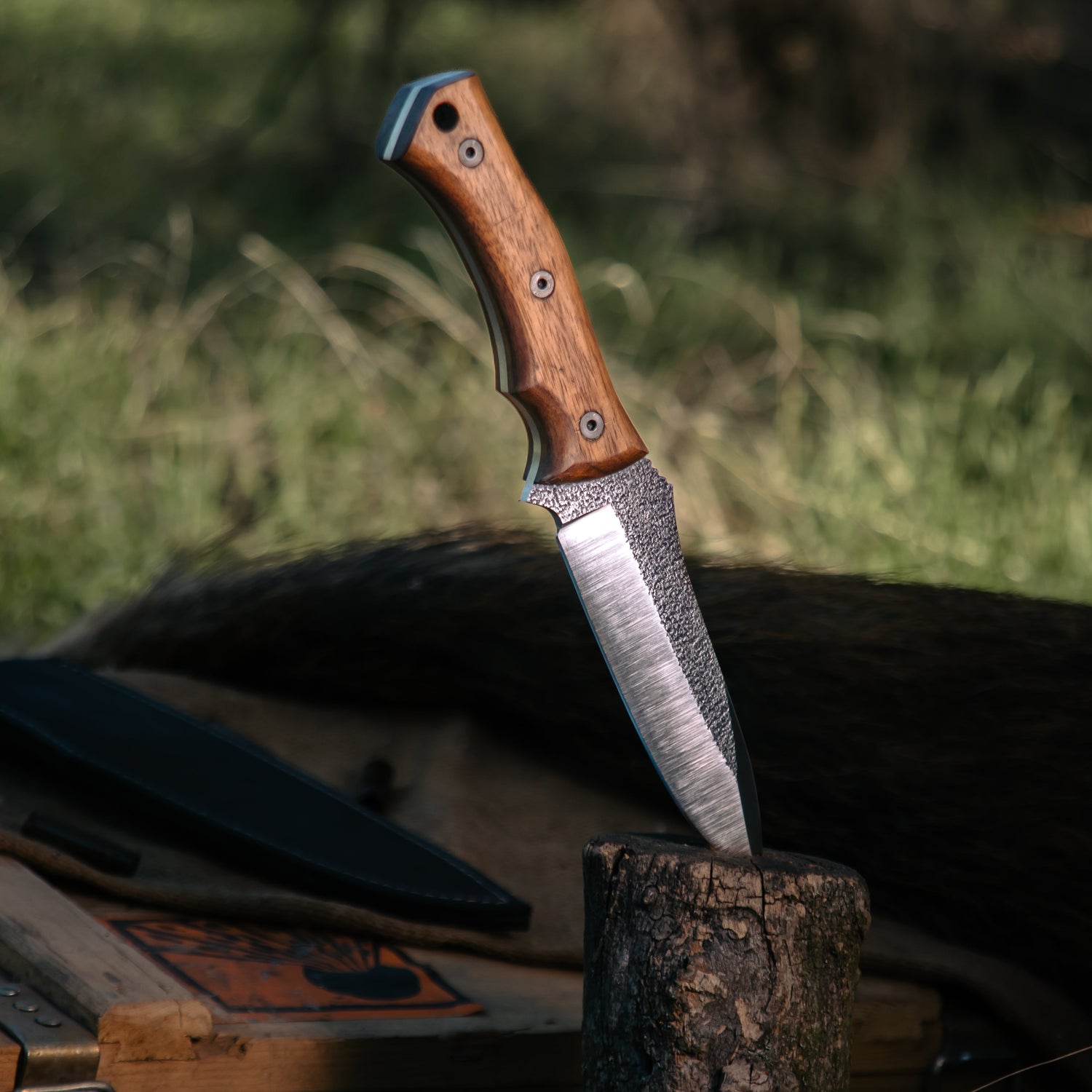 Outdoor & Hunting Knives